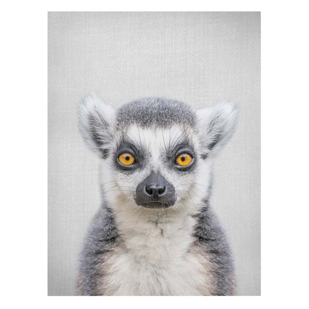 Zwierzęta obrazy Lemur Ludwig