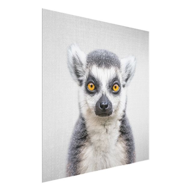 Obrazy na szkle zwierzęta Lemur Ludwig