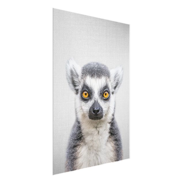 Obrazy na szkle zwierzęta Lemur Ludwig