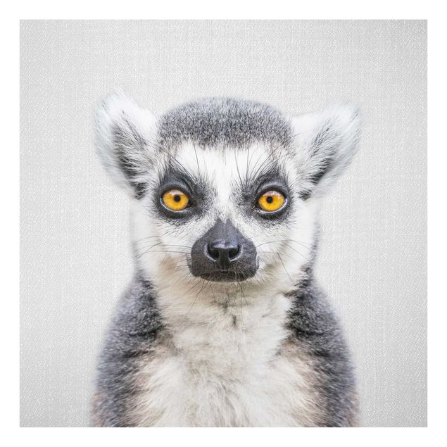 Obrazy do salonu Lemur Ludwig