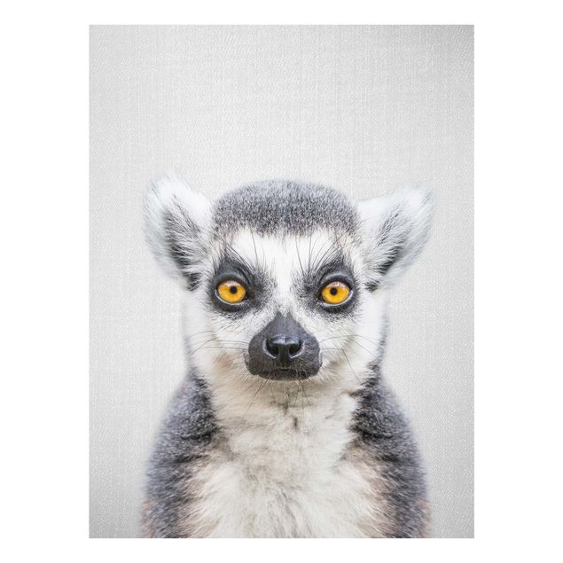 Obrazy do salonu Lemur Ludwig