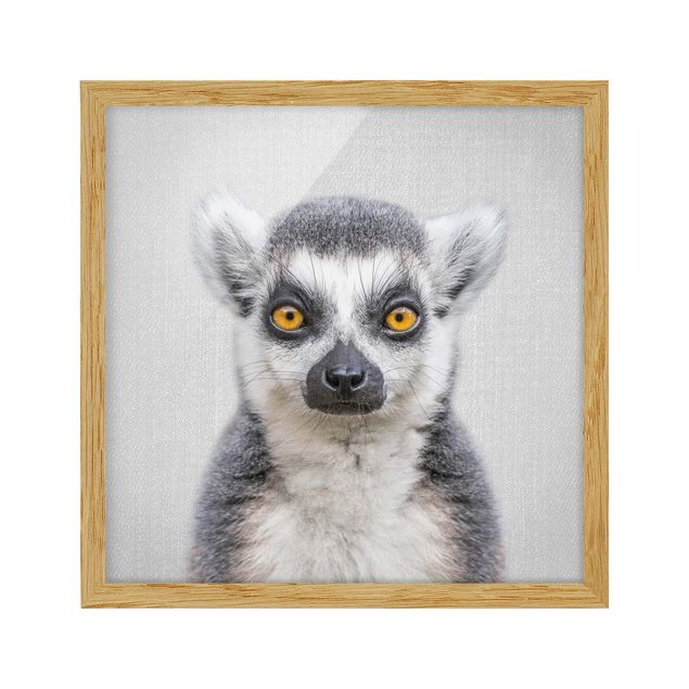 Obrazy w ramie zwierzęta Lemur Ludwig