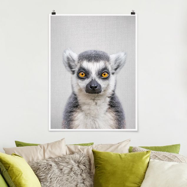 Małpa obraz Lemur Ludwig