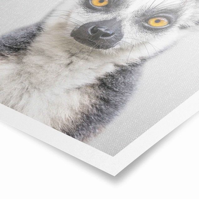 Obrazy zwierzęta Lemur Ludwig