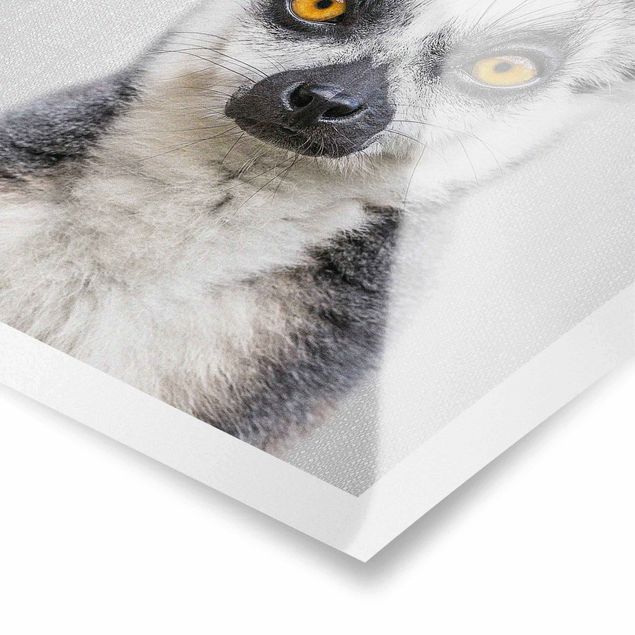 Czarno białe obrazy Lemur Ludwig