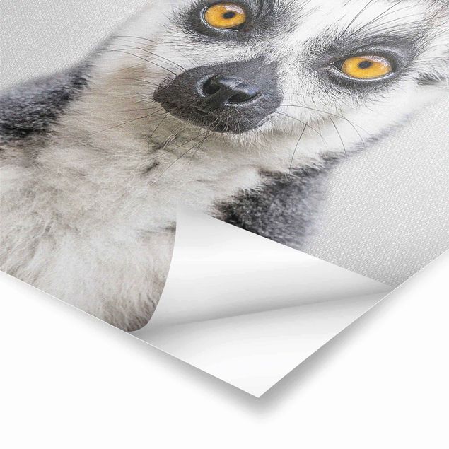 Plakaty czarno białe Lemur Ludwig