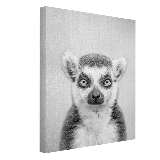 Obrazy nowoczesne Lemur Ludwig Black And White