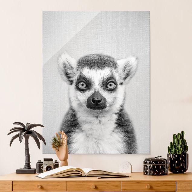 Małpa obraz Lemur Ludwig Black And White