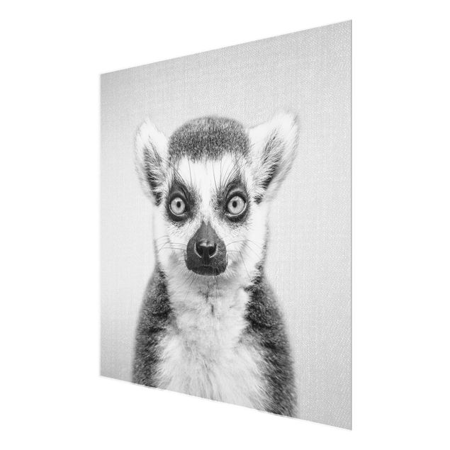 Nowoczesne obrazy Lemur Ludwig Black And White