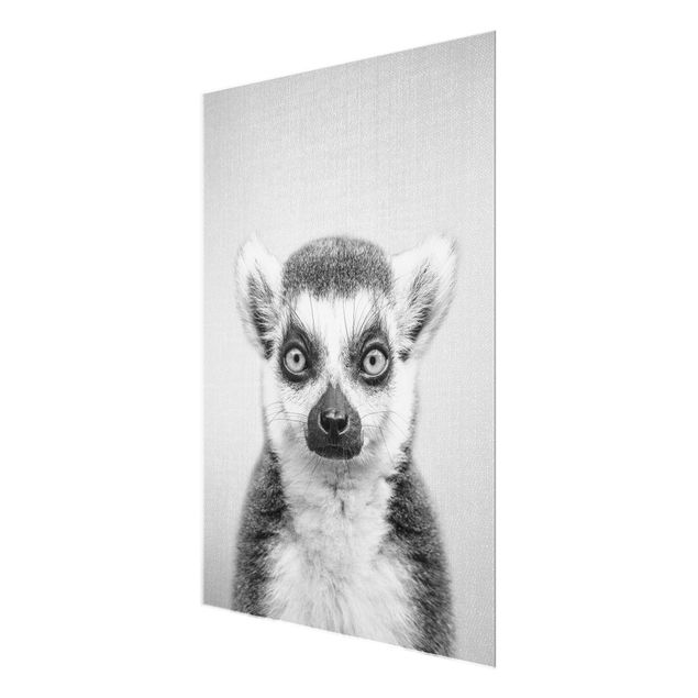 Nowoczesne obrazy Lemur Ludwig Black And White