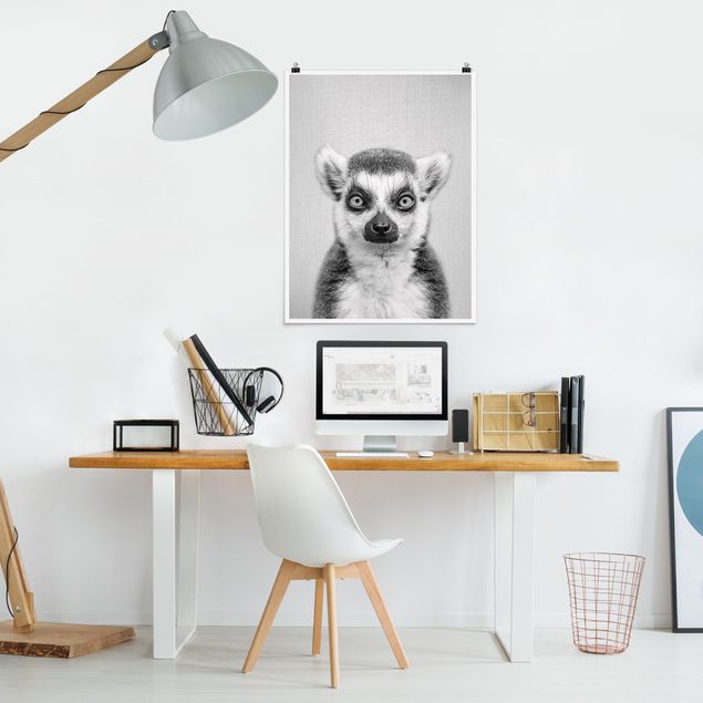Obrazy do salonu Lemur Ludwig Black And White