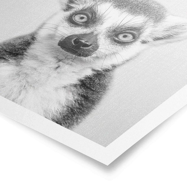 Obrazy zwierzęta Lemur Ludwig Black And White