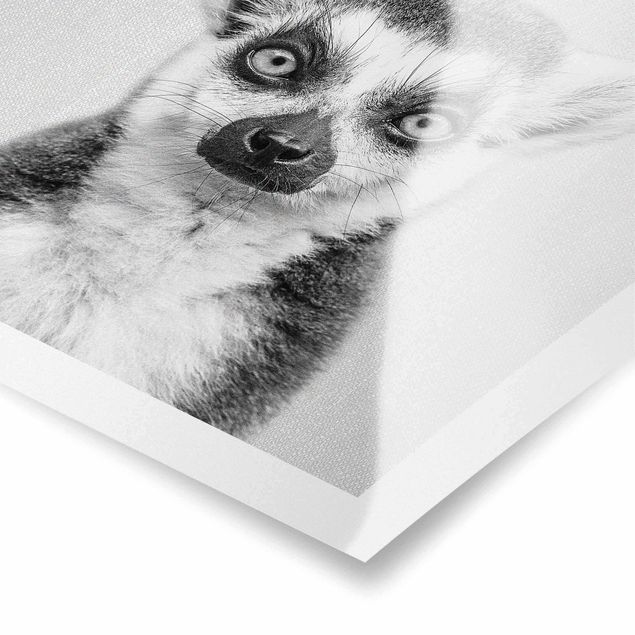 Czarno białe obrazy Lemur Ludwig Black And White