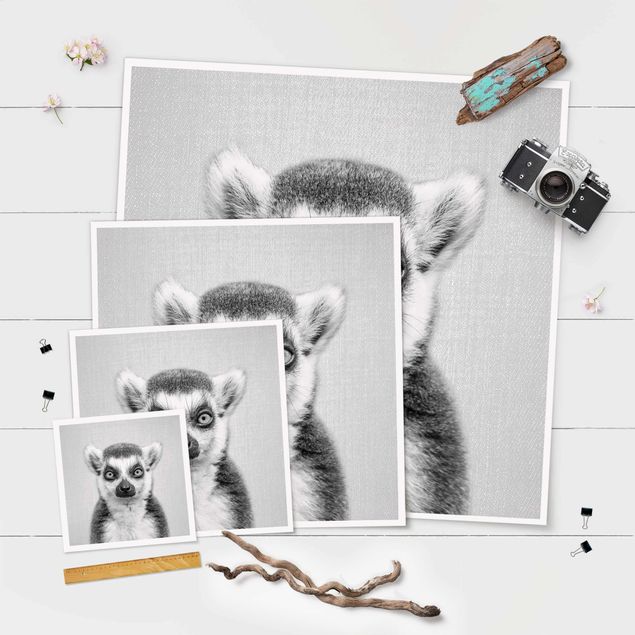 Obrazy na ścianę Lemur Ludwig Black And White
