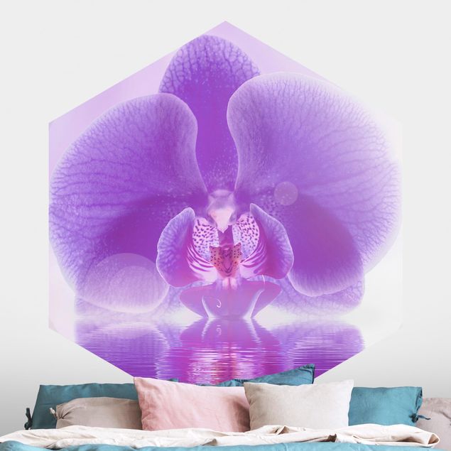 Tapety orchidea Purpurowy storczyk na wodzie