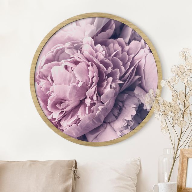 Obrazy w ramie vintage Purple Peony Blossoms
