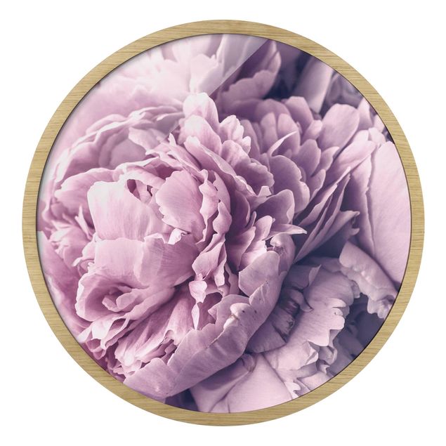 Vintage obrazy Purple Peony Blossoms