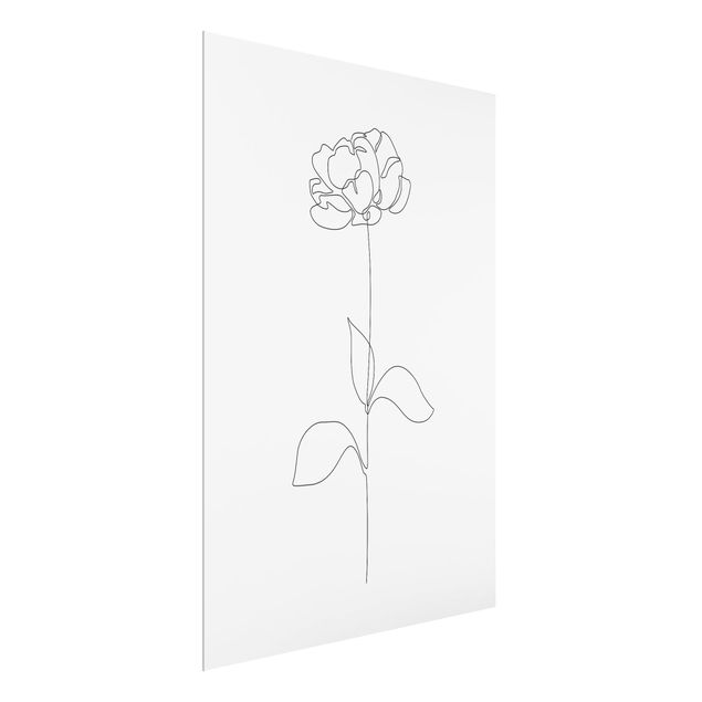 Obrazy nowoczesne Line Art Flowers - Peony