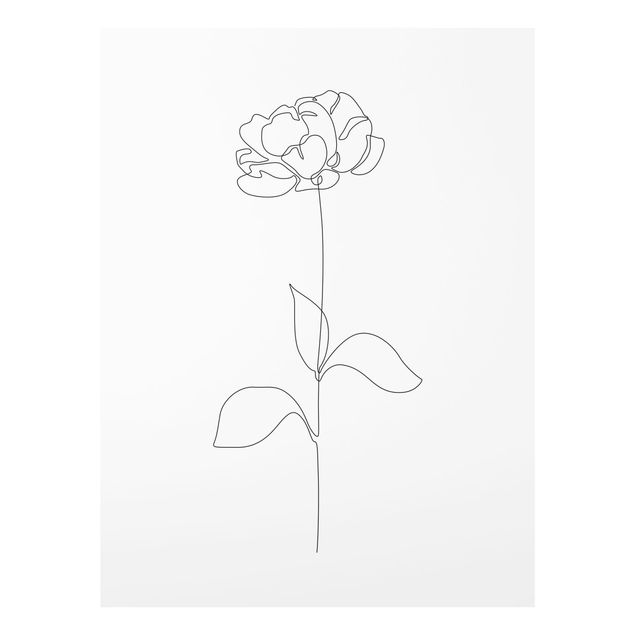 Obrazy portret Line Art Flowers - Peony