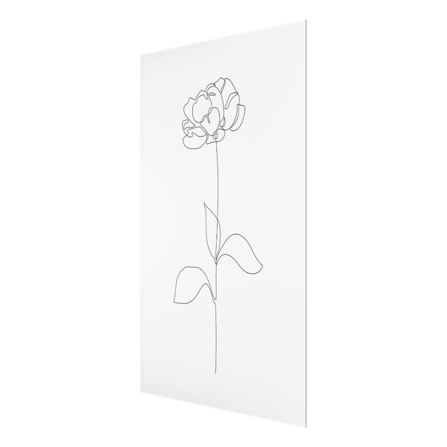 Czarno białe obrazy Line Art Flowers - Peony