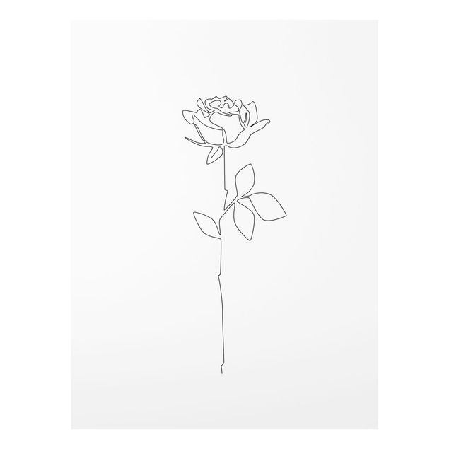 Obrazy portret Line Art Flowers - Rose