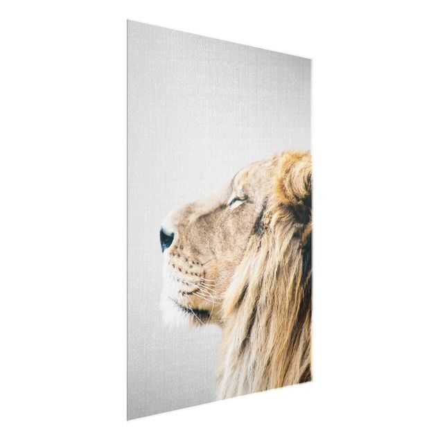 Obraz lwa Lion Leopold