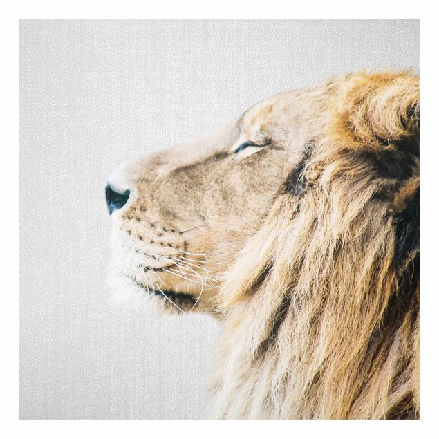 Obrazy na szkle zwierzęta Lion Leopold