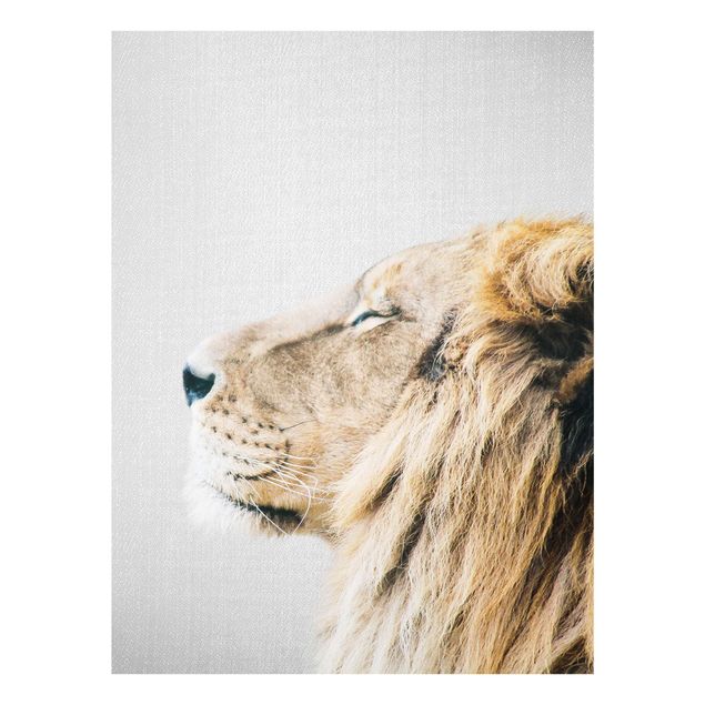 Obrazy na szkle zwierzęta Lion Leopold