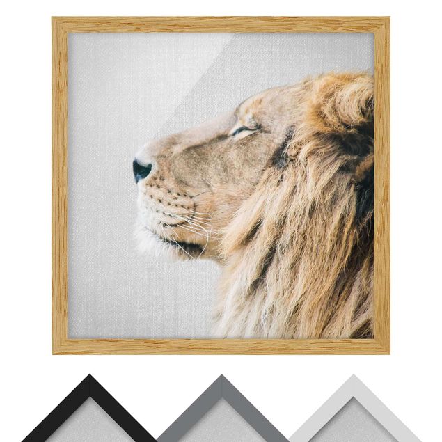 Obrazy nowoczesne Lion Leopold