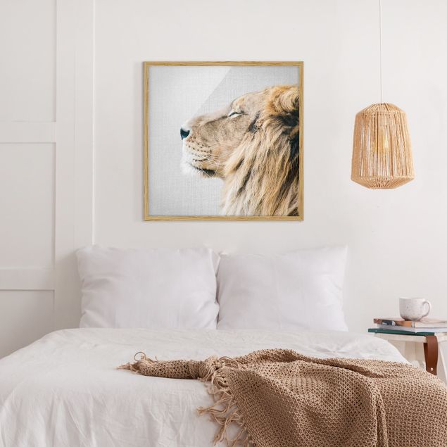 Lew obraz Lion Leopold