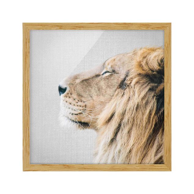 Obrazy w ramie zwierzęta Lion Leopold