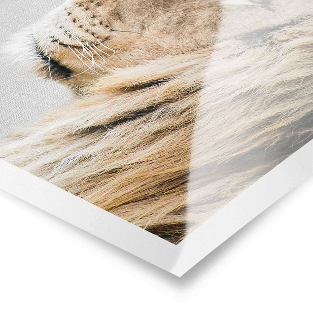Czarno białe obrazki Lion Leopold