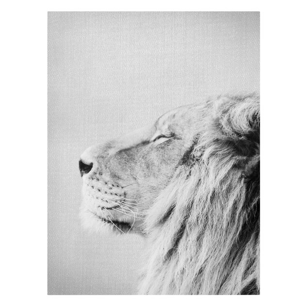 Lew obraz Lion Leopold Black And White