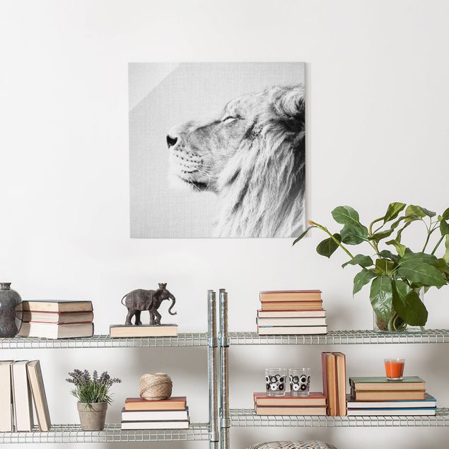 Obrazy na szkle kwadrat Lion Leopold Black And White