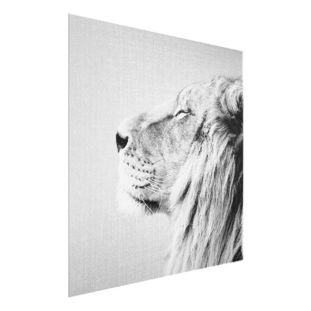 Obraz lwa Lion Leopold Black And White