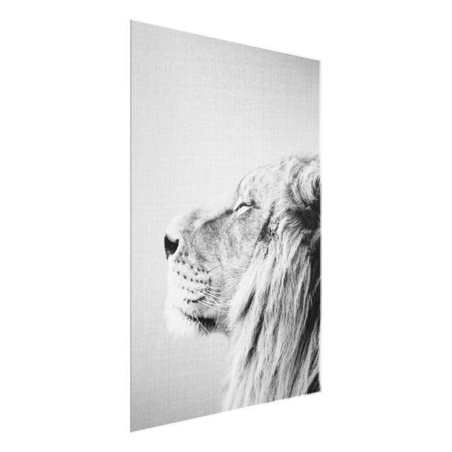 Obraz lwa Lion Leopold Black And White