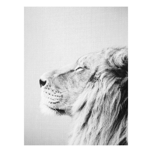 Obrazy na szkle zwierzęta Lion Leopold Black And White