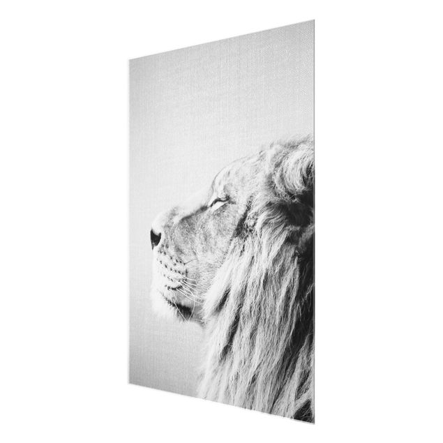 Nowoczesne obrazy Lion Leopold Black And White