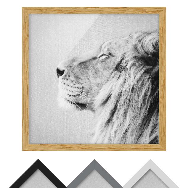Nowoczesne obrazy Lion Leopold Black And White