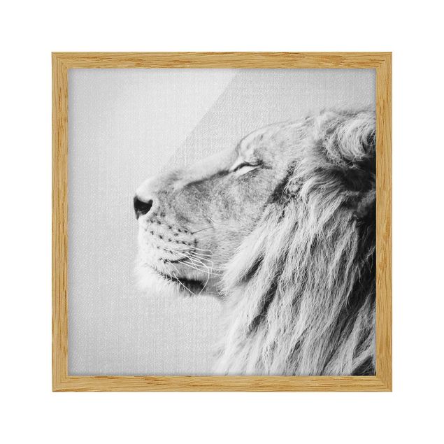 Obrazy w ramie zwierzęta Lion Leopold Black And White