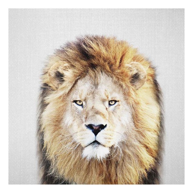 Obrazy na szkle zwierzęta Lion Linus