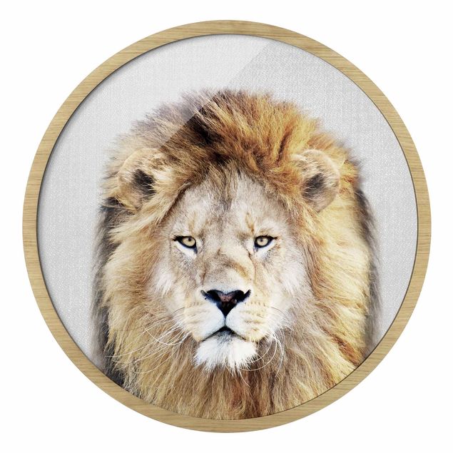 Obrazy lew Lion Linus