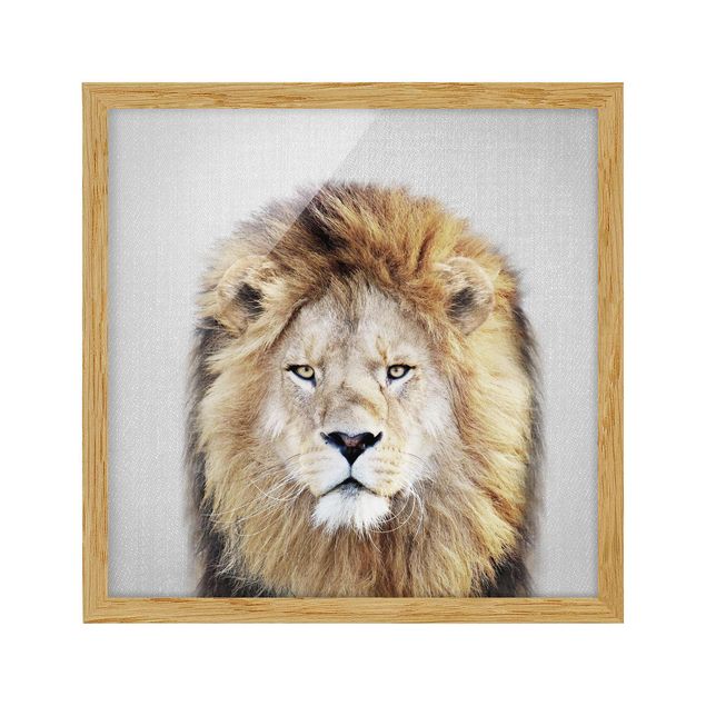 Obrazy w ramie zwierzęta Lion Linus