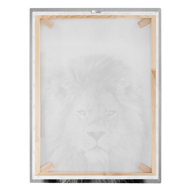 Obraz lwa na płótnie Lion Linus Black And White