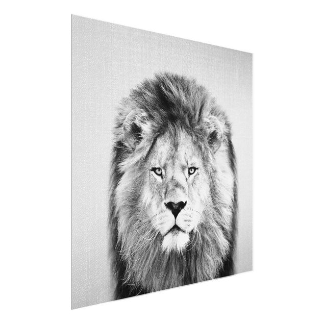 Lew obraz Lion Linus Black And White