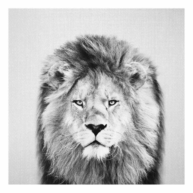 Obrazy na szkle zwierzęta Lion Linus Black And White