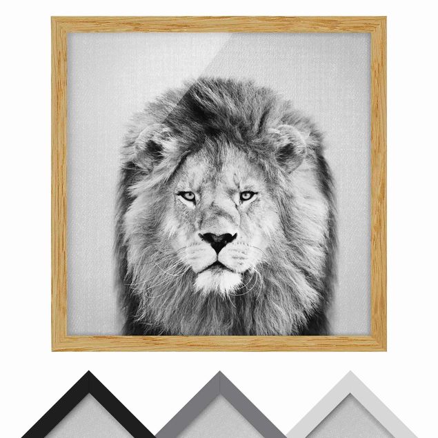 Nowoczesne obrazy Lion Linus Black And White