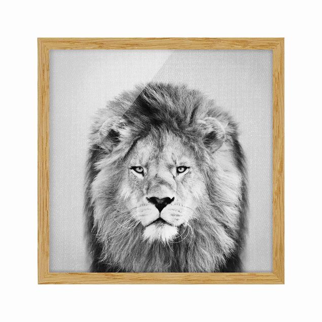 Obrazy w ramie zwierzęta Lion Linus Black And White