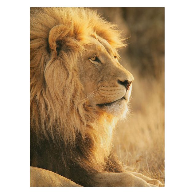 Obraz lwa Król Lew