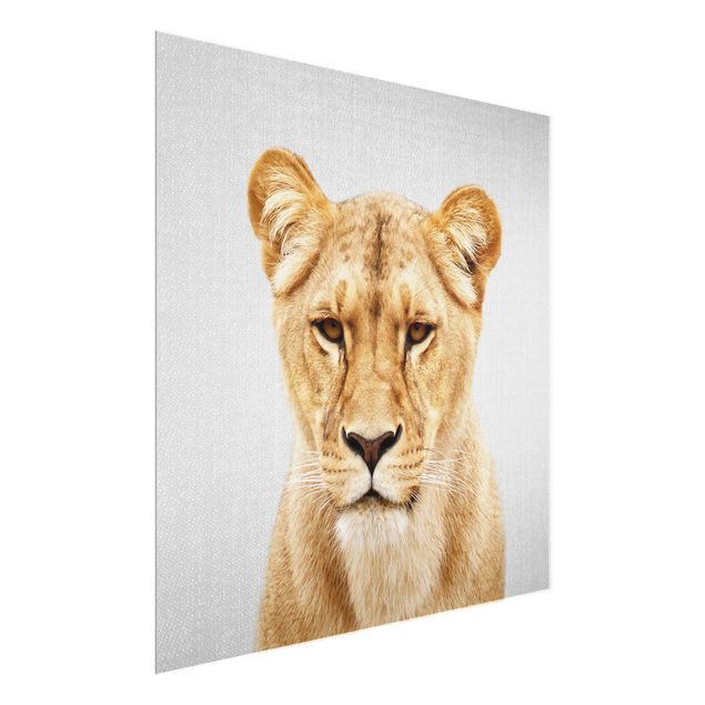 Lew obraz Lioness Lisa